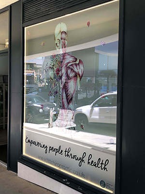 FITT-Chiro-Window-Display